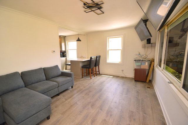 1509 Morris Ave, Berkeley, IL 60163 - living area with crown molding and light wood-type flooring