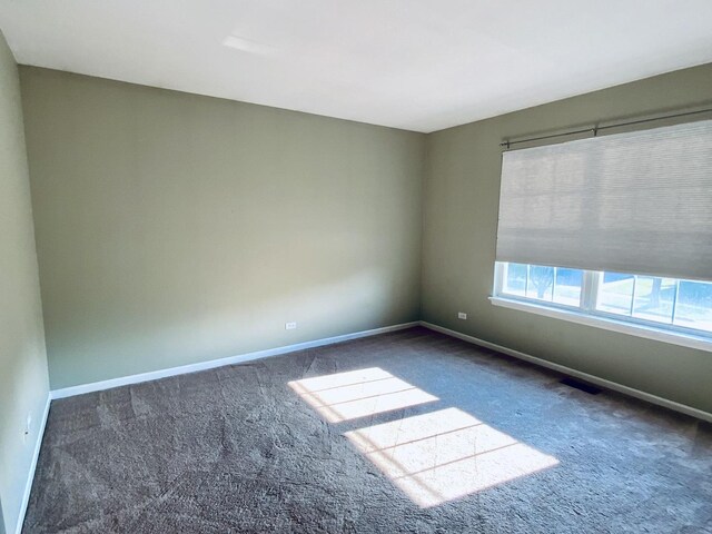 735 Ravinia Dr, Gurnee, IL 60031 - photo 21
