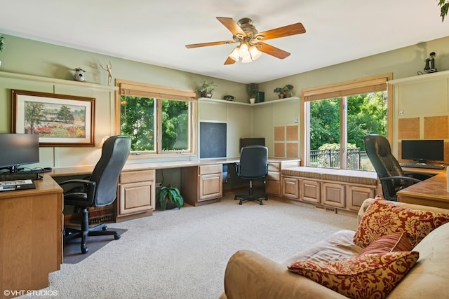 10305 Ridge Ln, Huntley, IL 60142 - office space with light carpet and a ceiling fan