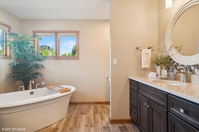 10305 Ridge Ln, Huntley, IL 60142 - bathroom featuring vanity, a freestanding tub, wood finished floors, and decorative backsplash