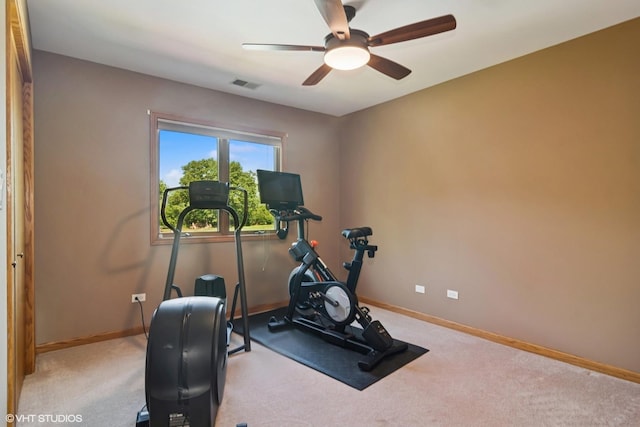 10305 Ridge Ln, Huntley, IL 60142 - exercise room featuring carpet floors and a ceiling fan