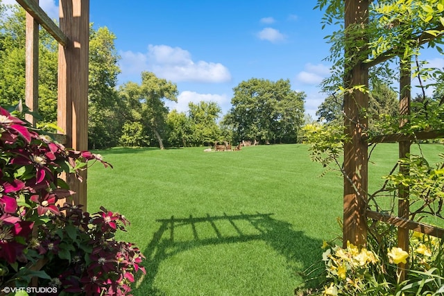 10305 Ridge Ln, Huntley, IL 60142 - view of green lawn