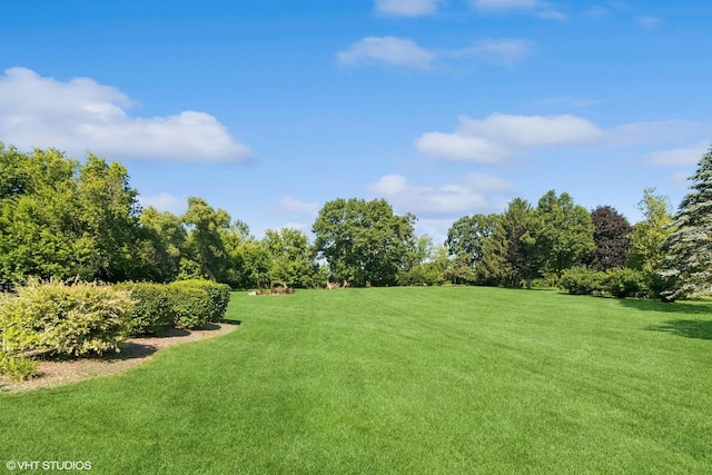 10305 Ridge Ln, Huntley, IL 60142 - view of green lawn