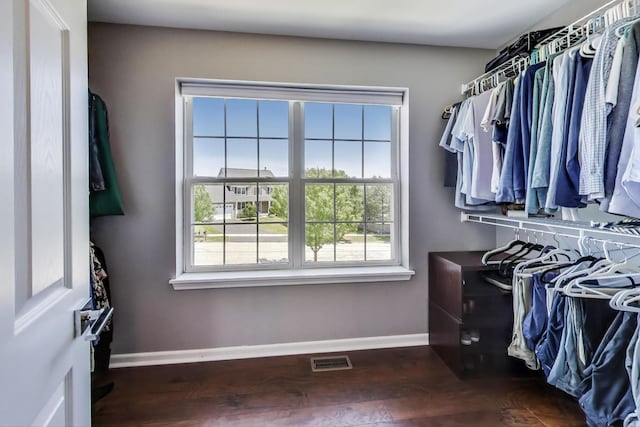 2301 Bluewater Dr, Wauconda, IL 60084 - spacious closet featuring dark wood finished floors