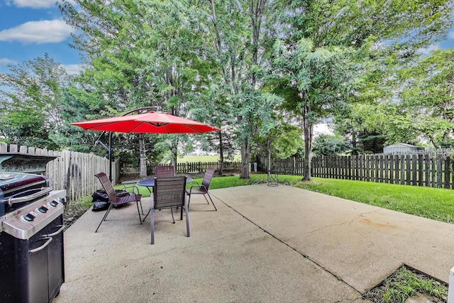221 Pinehurst Dr, Mundelein, IL 60060 - photo 21