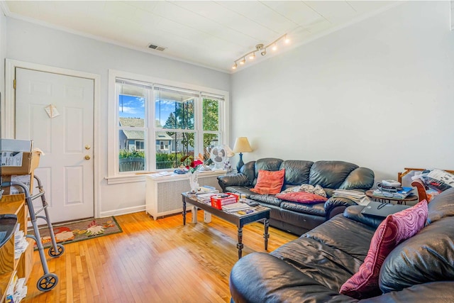 4438 N Moody Ave, Chicago, IL 60630 - living area with hardwood / wood-style flooring, track lighting, crown molding, and radiator heating unit