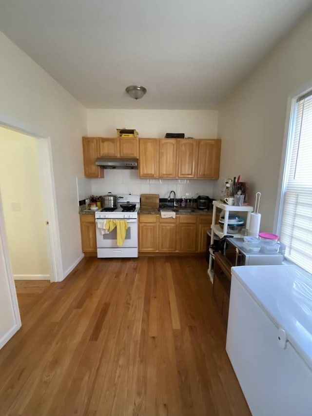 461 W 28th Pl, Chicago, IL 60616 - kitchen with white range with gas cooktop, under cabinet range hood, wood finished floors, dark countertops, and refrigerator