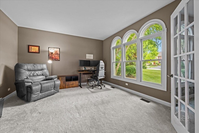8203 Gage Ln, Cary, IL 60013 - photo 16