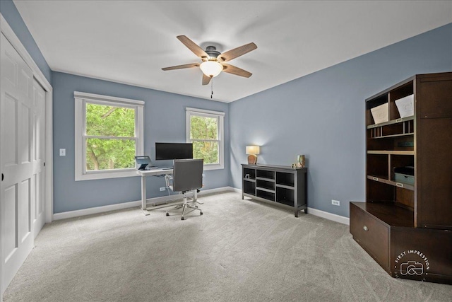8203 Gage Ln, Cary, IL 60013 - photo 26