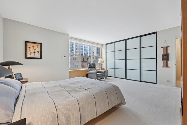 1325 N State Pkwy Unit 8E, Chicago, IL 60610 - view of carpeted bedroom