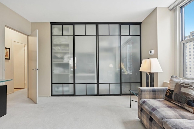 1325 N State Pkwy Unit 8E, Chicago, IL 60610 - view of carpeted living room