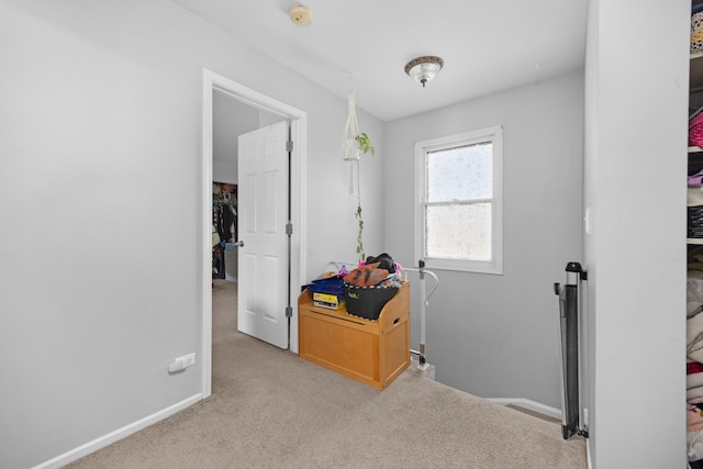 1100 Singleton Dr, Roselle, IL 60172 - corridor featuring light carpet and baseboards