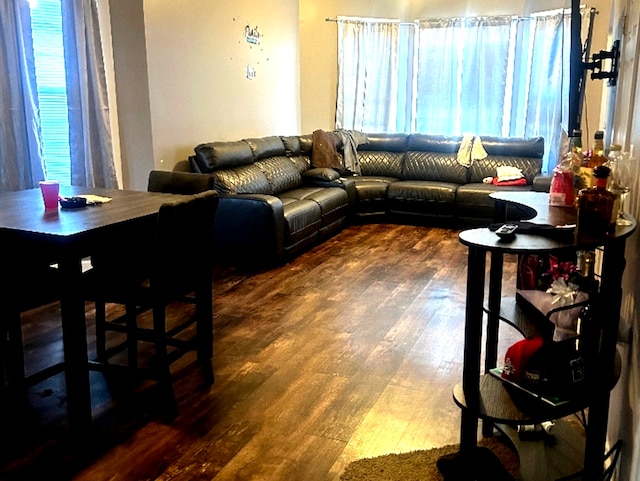 living area with wood-type flooring