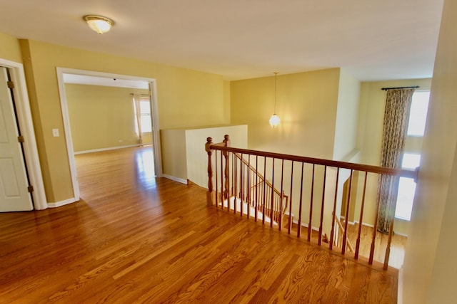 18737 W Ash Dr, Lake Villa, IL 60046 - corridor featuring an upstairs landing, plenty of natural light, and wood finished floors