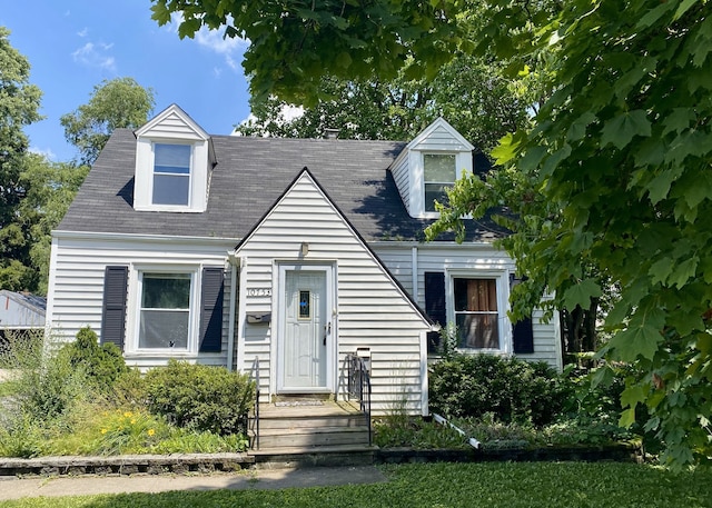 10753 S Neenah Ave, Worth, IL 60482 - view of cape cod home