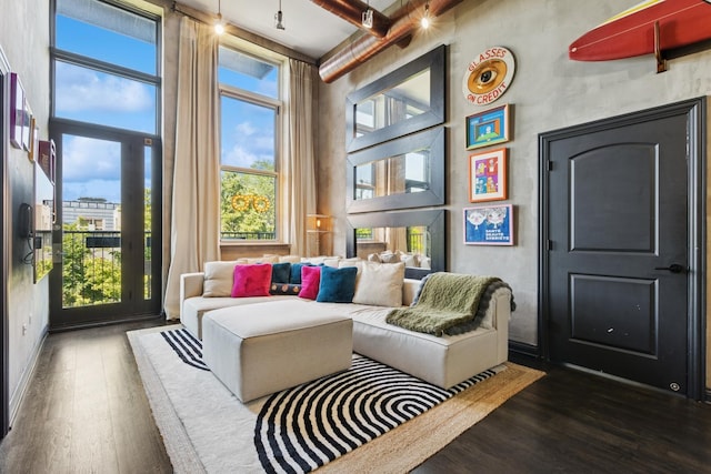 1215 W Gunnison St Unit 202, Chicago, IL 60640 - living room with dark wood finished floors, healthy amount of natural light, and a towering ceiling