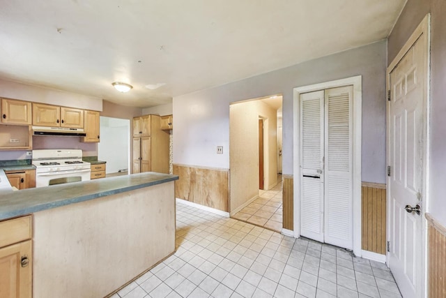 418 Surrey Ln, Lindenhurst, IL 60046 - unfurnished bedroom featuring wood finished floors and a closet
