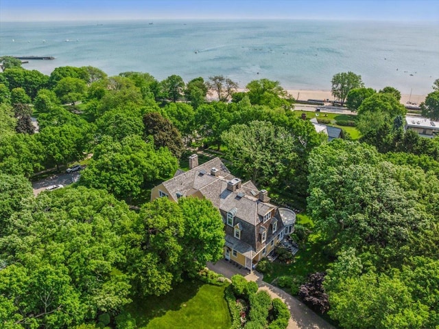 202 Greenwood St, Evanston, IL 60201 - photo 4
