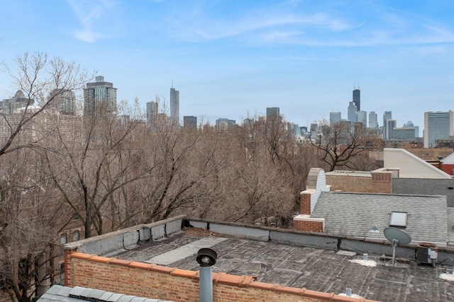 1414 N Mohawk St, Chicago, IL 60610 - view of city skyline