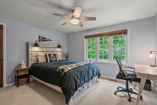 124 Hidden Oaks Dr, Barrington, IL 60010 - photo 15
