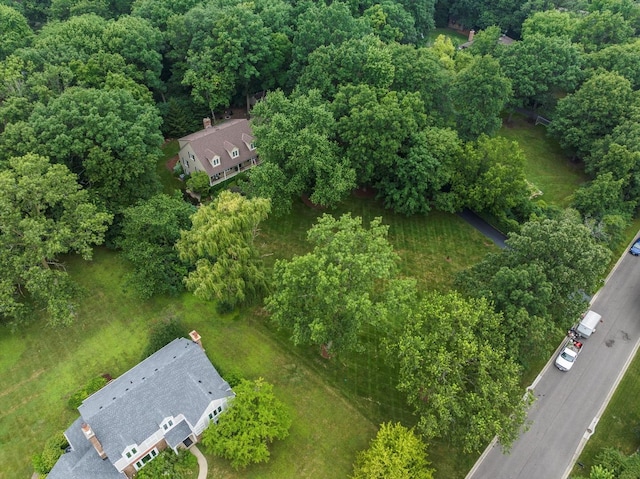 124 Hidden Oaks Dr, Barrington, IL 60010 - bird's eye view
