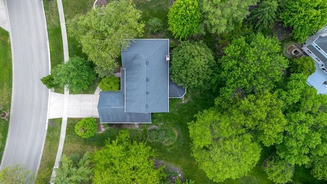 172 Hamilton Ave, Frankfort, IL 60423 - bird's eye view