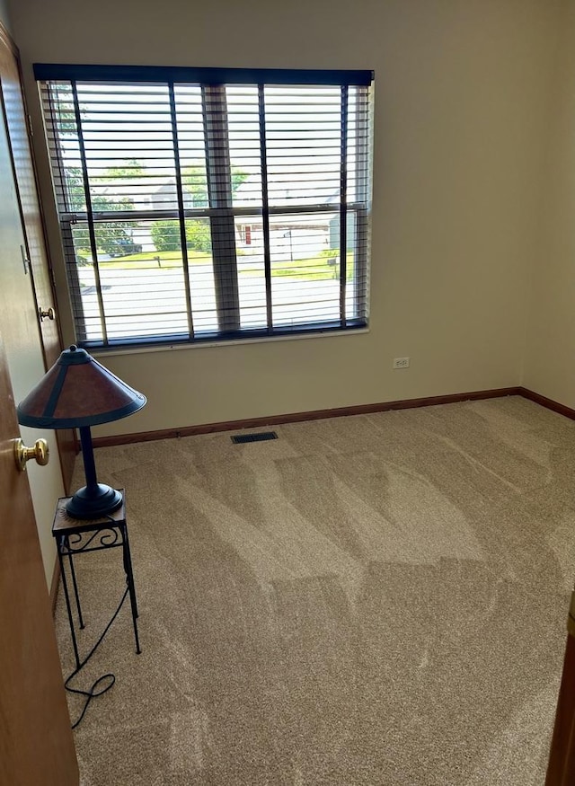 1035 Rushing Ct, Lake Villa, IL 60046 - photo 14
