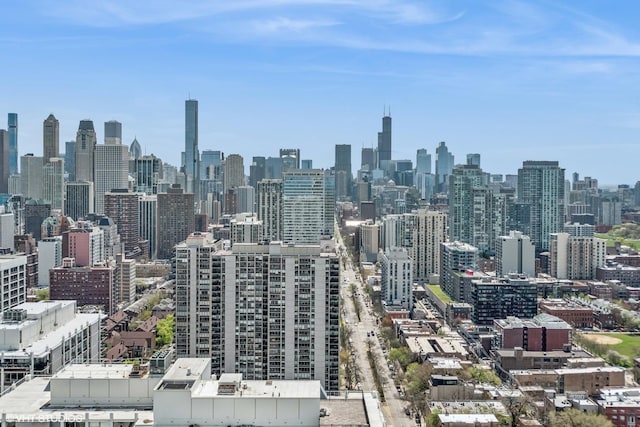 1560 N Sandburg Ter Unit 4301-4303, Chicago, IL 60610 - skyline view