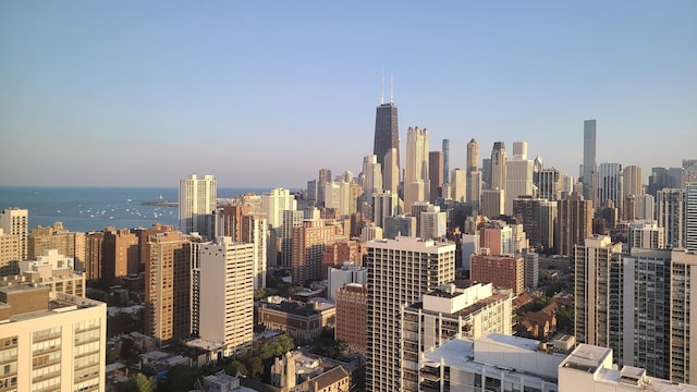 1560 N Sandburg Ter Unit 4301-4303, Chicago, IL 60610 - skyline view featuring a large body of water