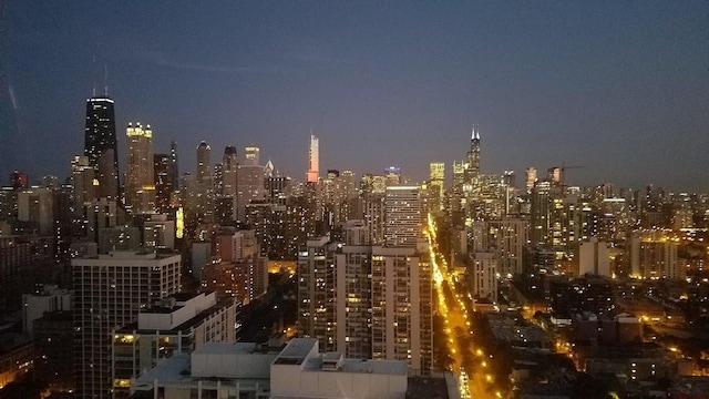 1560 N Sandburg Ter Unit 4301-4303, Chicago, IL 60610 - city view with a view of city lights