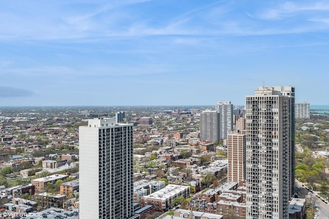 1560 N Sandburg Ter Unit 4301-4303, Chicago, IL 60610 - city view