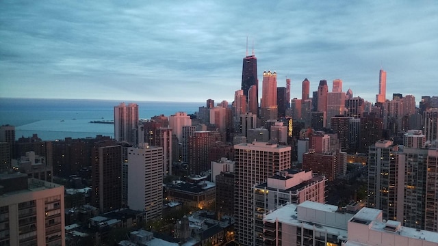 1560 N Sandburg Ter Unit 4301-4303, Chicago, IL 60610 - view of city skyline featuring a nearby body of water