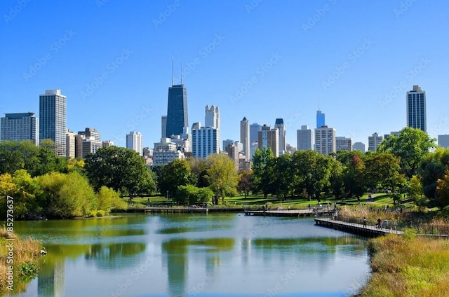 1560 N Sandburg Ter Unit 4301-4303, Chicago, IL 60610 - skyline view featuring a nearby body of water