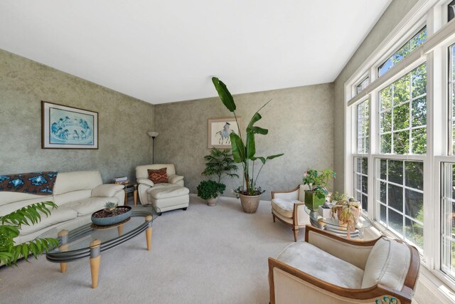 484 W Haleys Hill Ct, Palatine, IL 60074 - living room featuring carpet