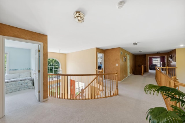 484 W Haleys Hill Ct, Palatine, IL 60074 - hall featuring an upstairs landing, carpet floors, and plenty of natural light