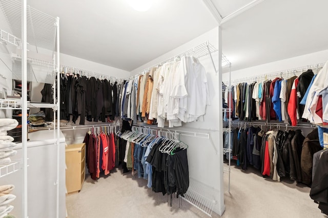 484 W Haleys Hill Ct, Palatine, IL 60074 - spacious closet with carpet flooring and washer / clothes dryer