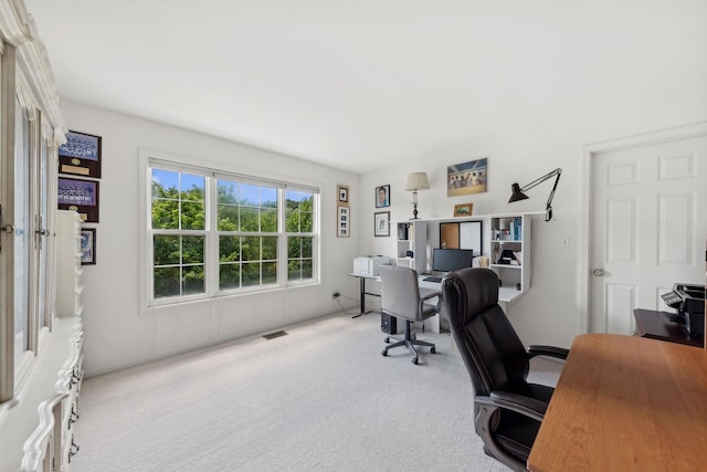 484 W Haleys Hill Ct, Palatine, IL 60074 - office with carpet floors