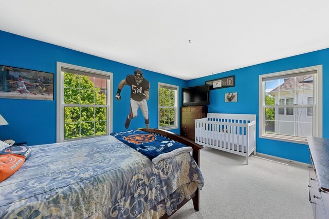 484 W Haleys Hill Ct, Palatine, IL 60074 - carpeted bedroom featuring multiple windows