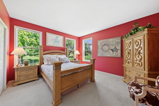 484 W Haleys Hill Ct, Palatine, IL 60074 - bedroom featuring light colored carpet and multiple windows