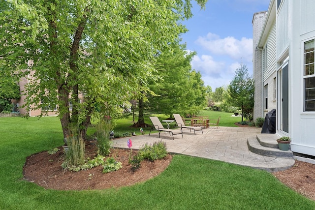 484 W Haleys Hill Ct, Palatine, IL 60074 - view of grassy yard with a patio area