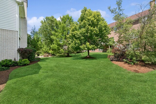 484 W Haleys Hill Ct, Palatine, IL 60074 - view of green lawn