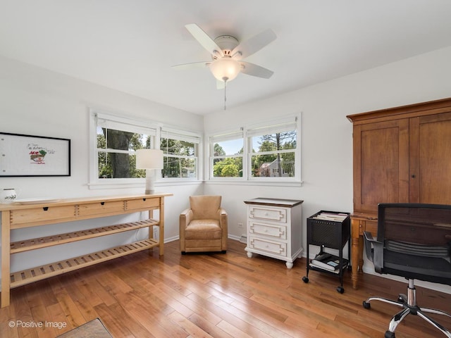 711 Bryant Ave, Barrington, IL 60010 - office area featuring light wood-style flooring and a ceiling fan