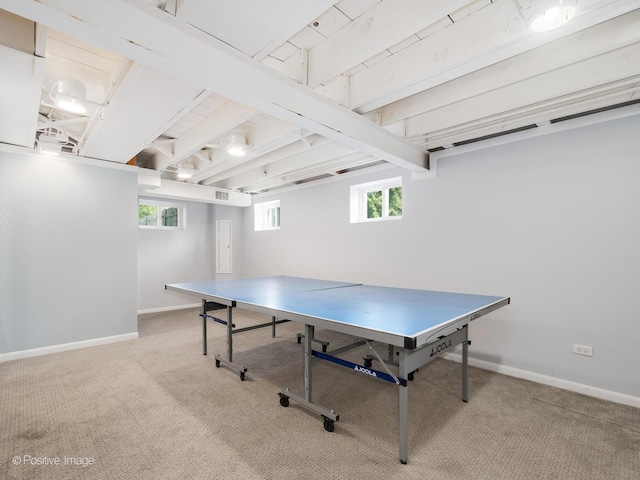 711 Bryant Ave, Barrington, IL 60010 - rec room featuring carpet flooring and healthy amount of natural light