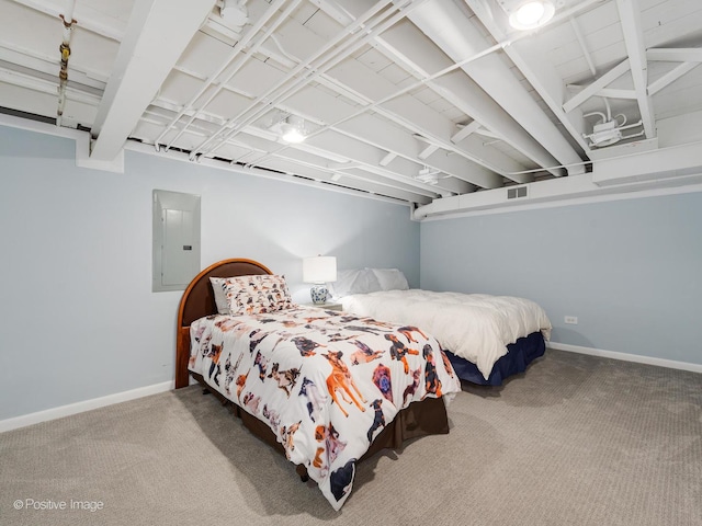 711 Bryant Ave, Barrington, IL 60010 - bedroom with electric panel and carpet floors