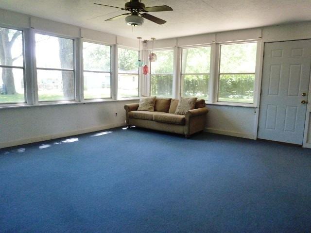 503 S Wilson St, Clinton, IL 61727 - sunroom / solarium featuring plenty of natural light and carpet flooring