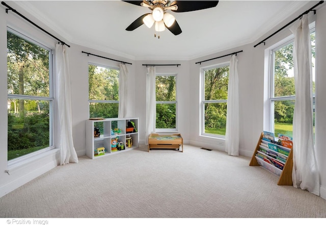 11405 191st St, Mokena, IL 60448 - sunroom with plenty of natural light