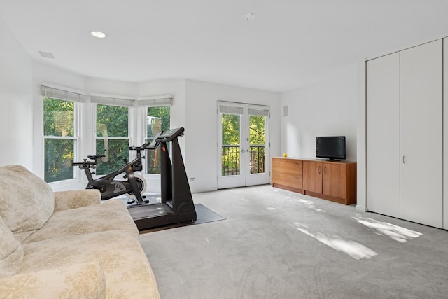 1725 N Fremont St, Chicago, IL 60614 - carpeted living room featuring french doors and recessed lighting