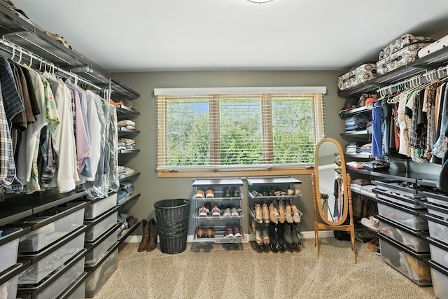 17W444 Waltham Pl, Darien, IL 60561 - photo 21