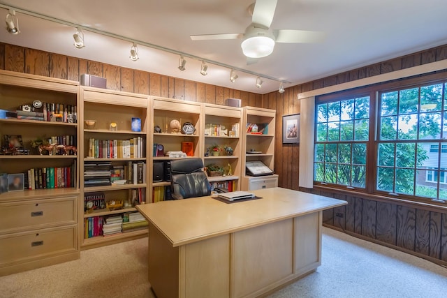 1304 W Whytecliff Rd, Palatine, IL 60067 - office featuring rail lighting, a ceiling fan, light colored carpet, and wood walls