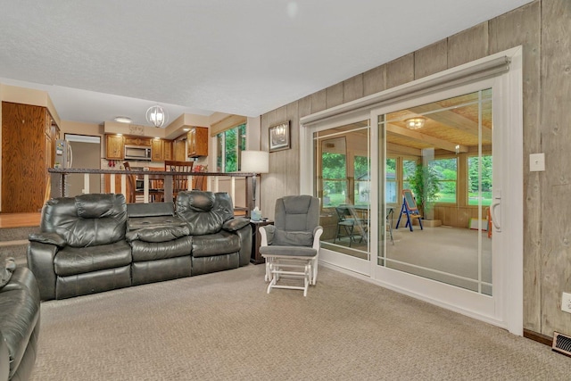 25049 W Kay Dr, Plainfield, IL 60586 - photo 17